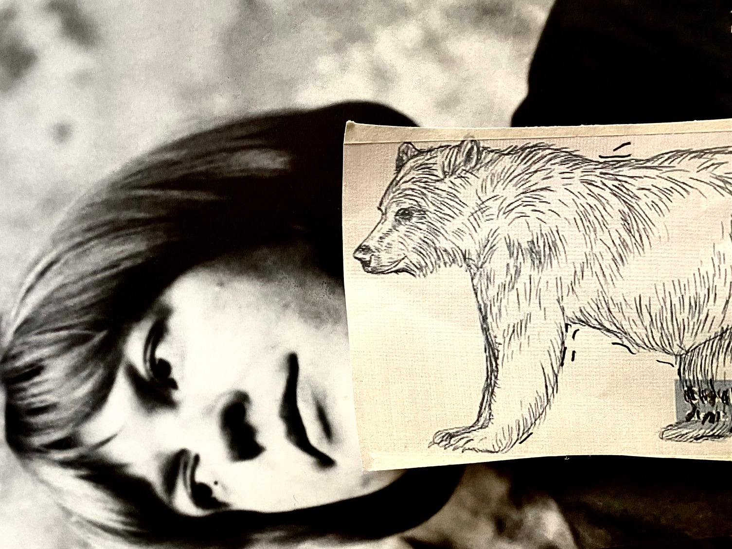 Collage aus einem Bild der Lyrikerin Ingeborg Bachmann und die Zeichnung eines Bären