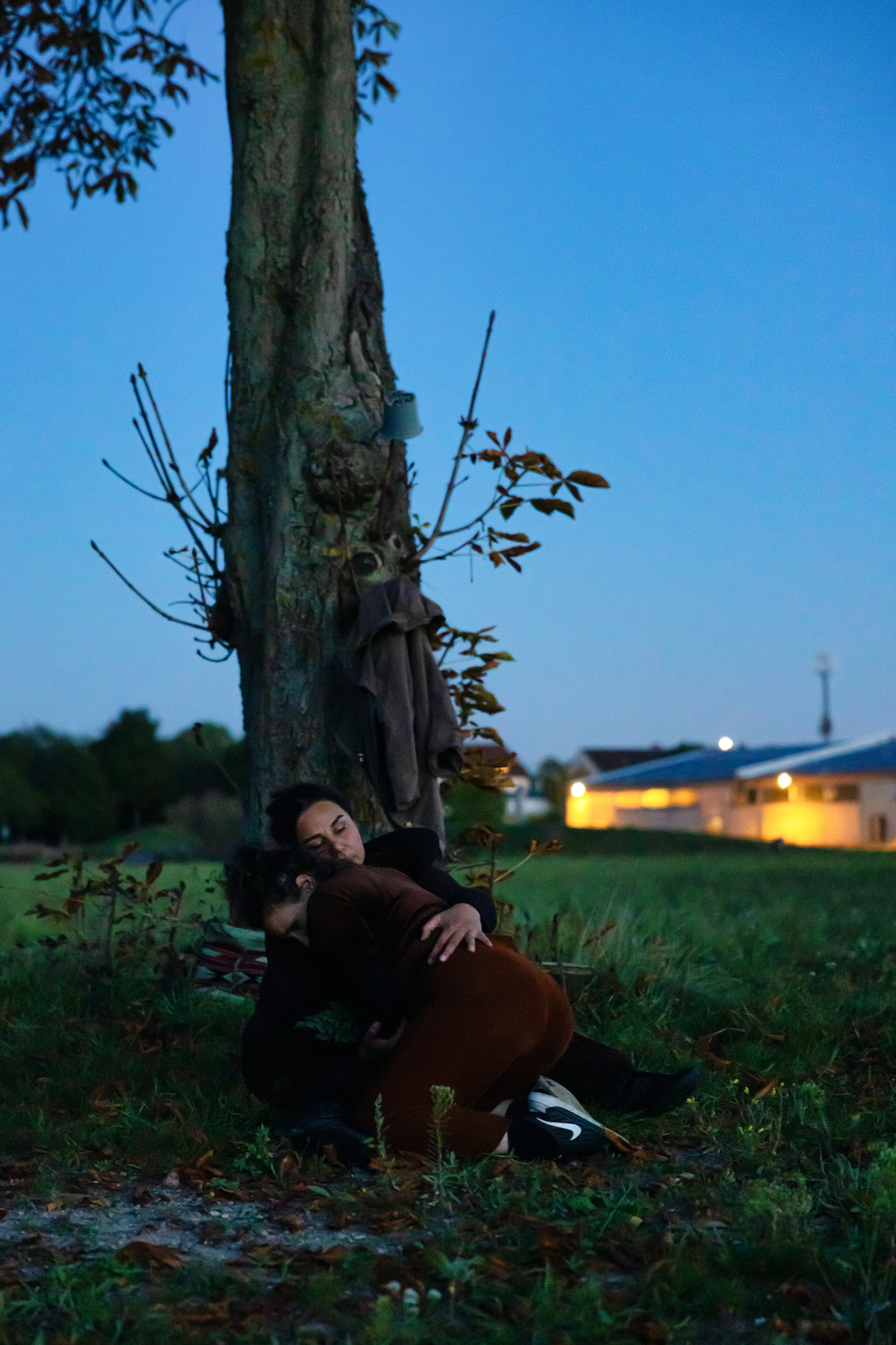 Zwei Personen umarmen sich unter einem Baum